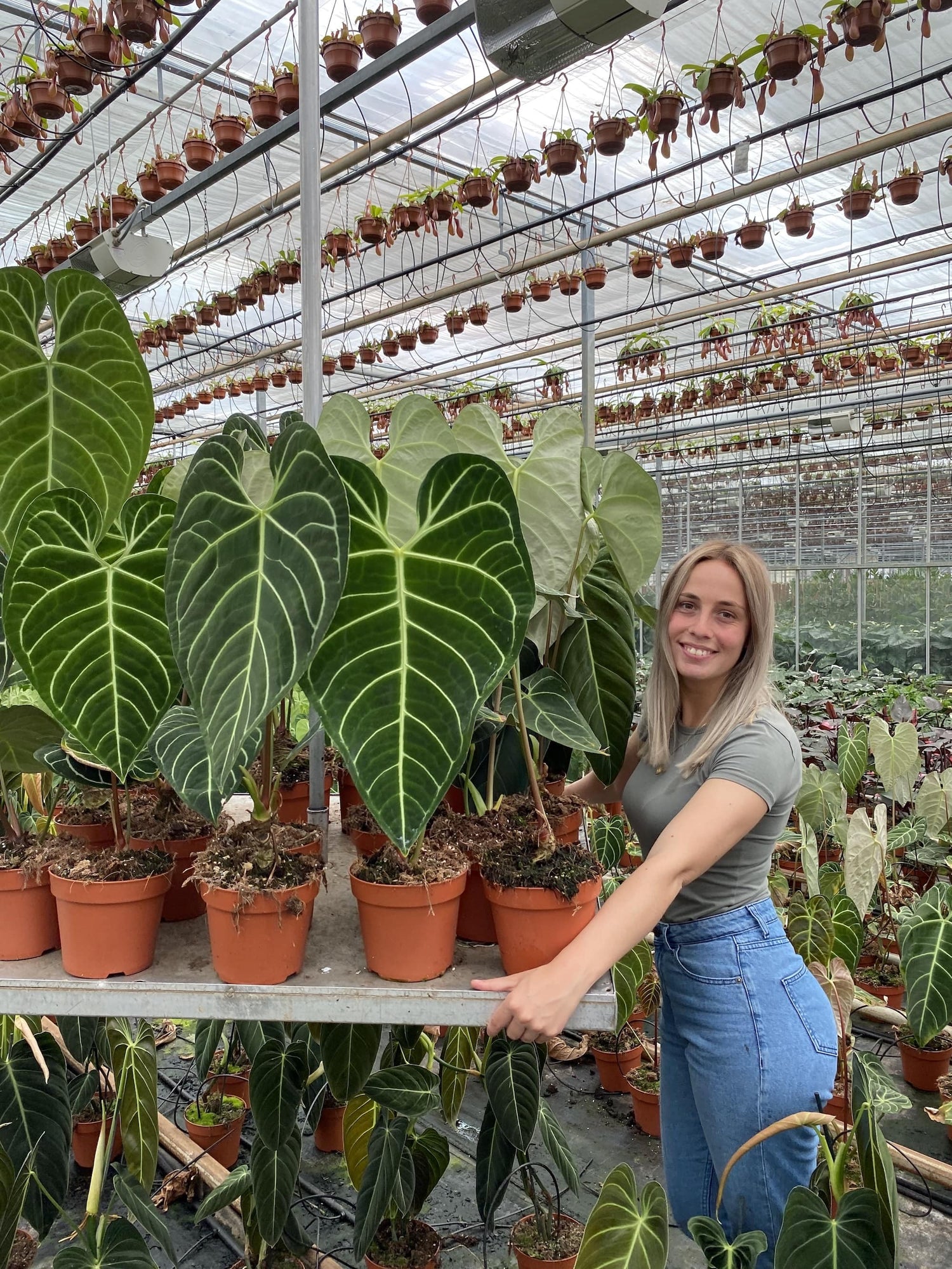 Hannah Möller von Harmony Plants