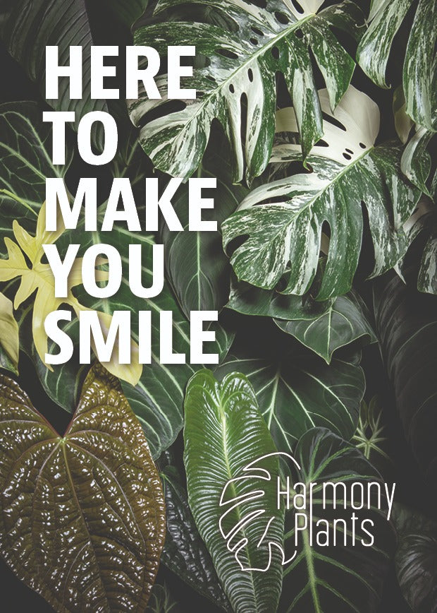 Harmony Plants Gutschein