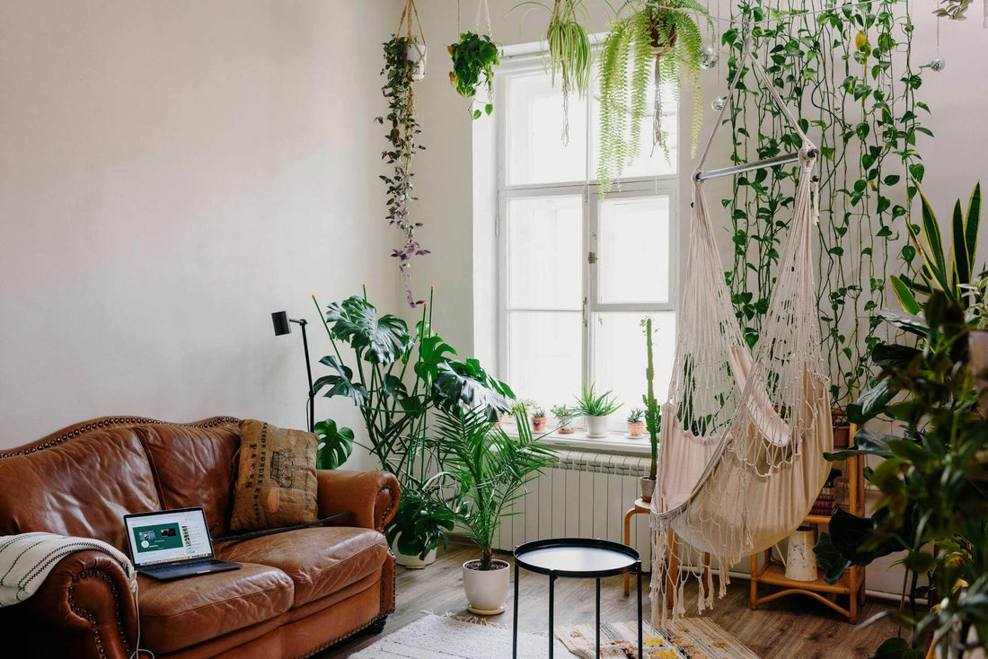 Wohnzimmer das mit vielen Pflanzen zu einem Urban Jungle eingerichtet ist