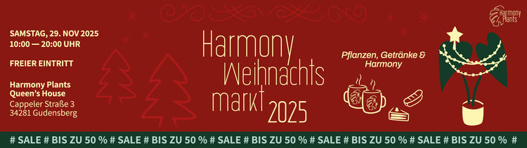 Harmony Plants Weihnachtsmaekt