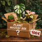 Mystery Plant Box