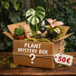 Mystery Plant Box