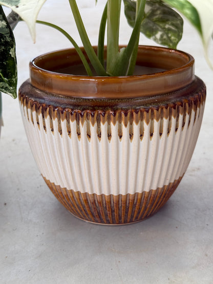 Harmony Pots/Töpfe
