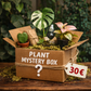 Mystery Plant Box